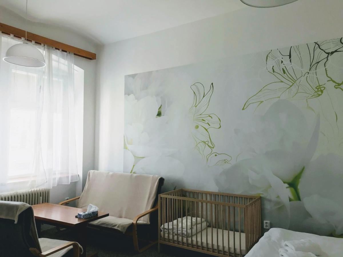 شقة Apartman Na Namesti Opočno المظهر الخارجي الصورة